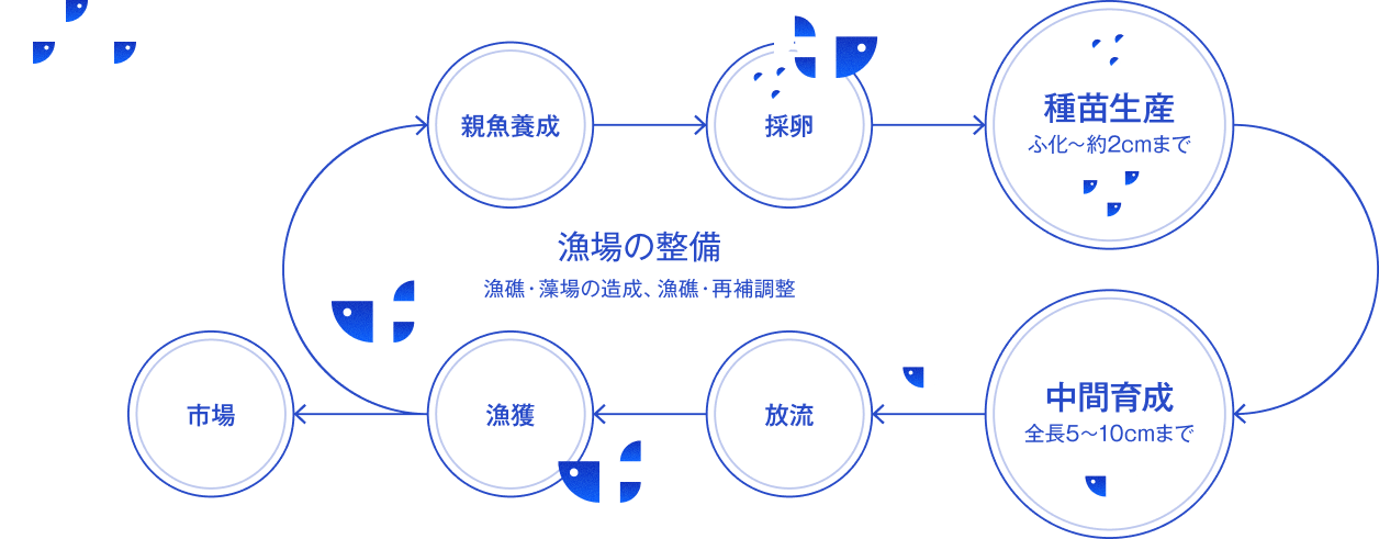 図：漁場の整備